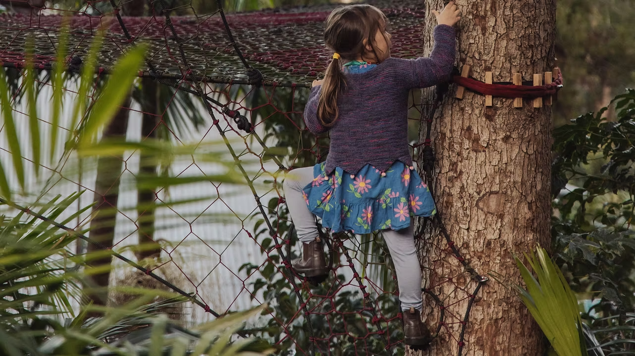 36608830cf2169d57c5af7b9c1fcbec6bead89a4