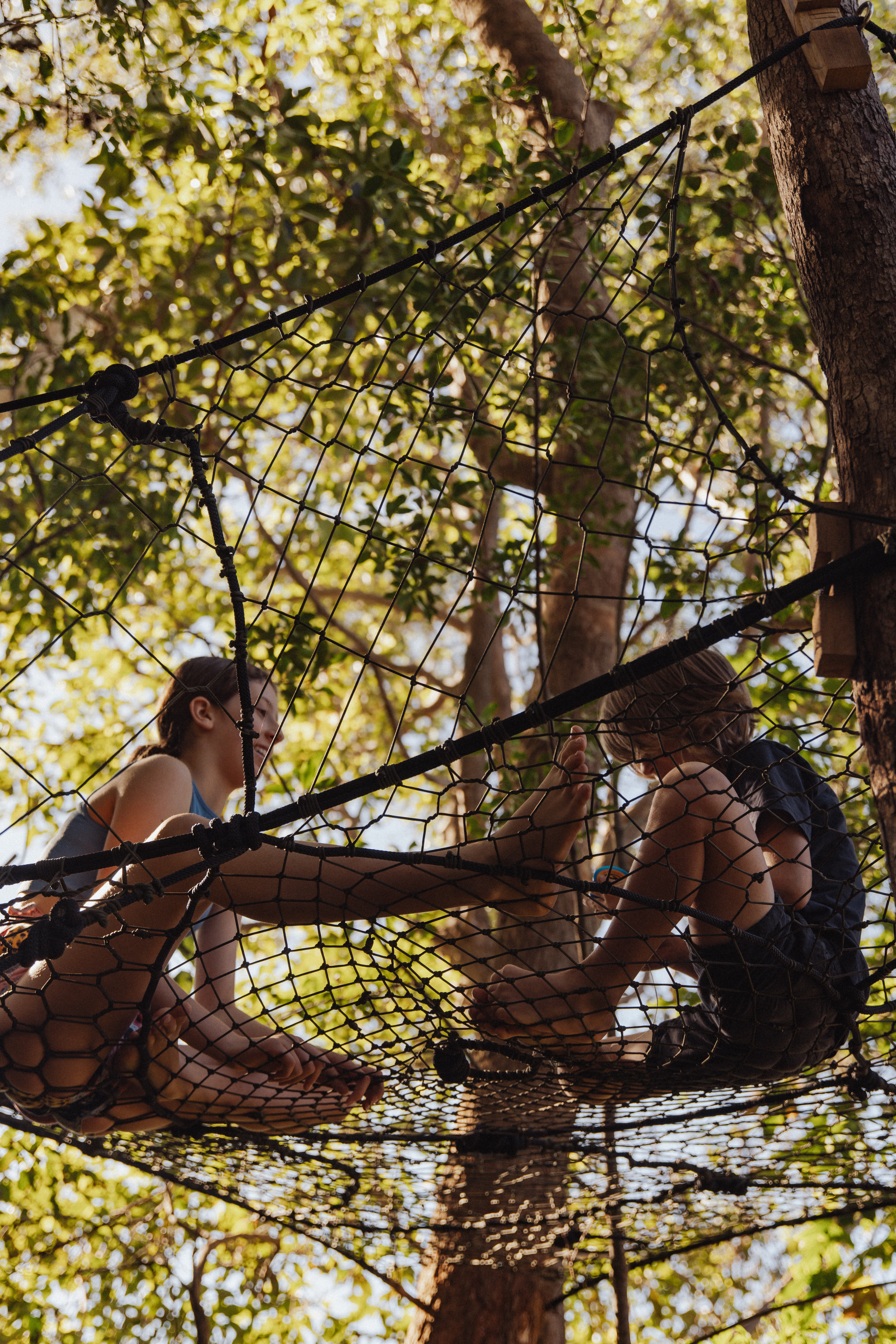 471602_22021b74b134476c8eff01d9a47332e6~mv2