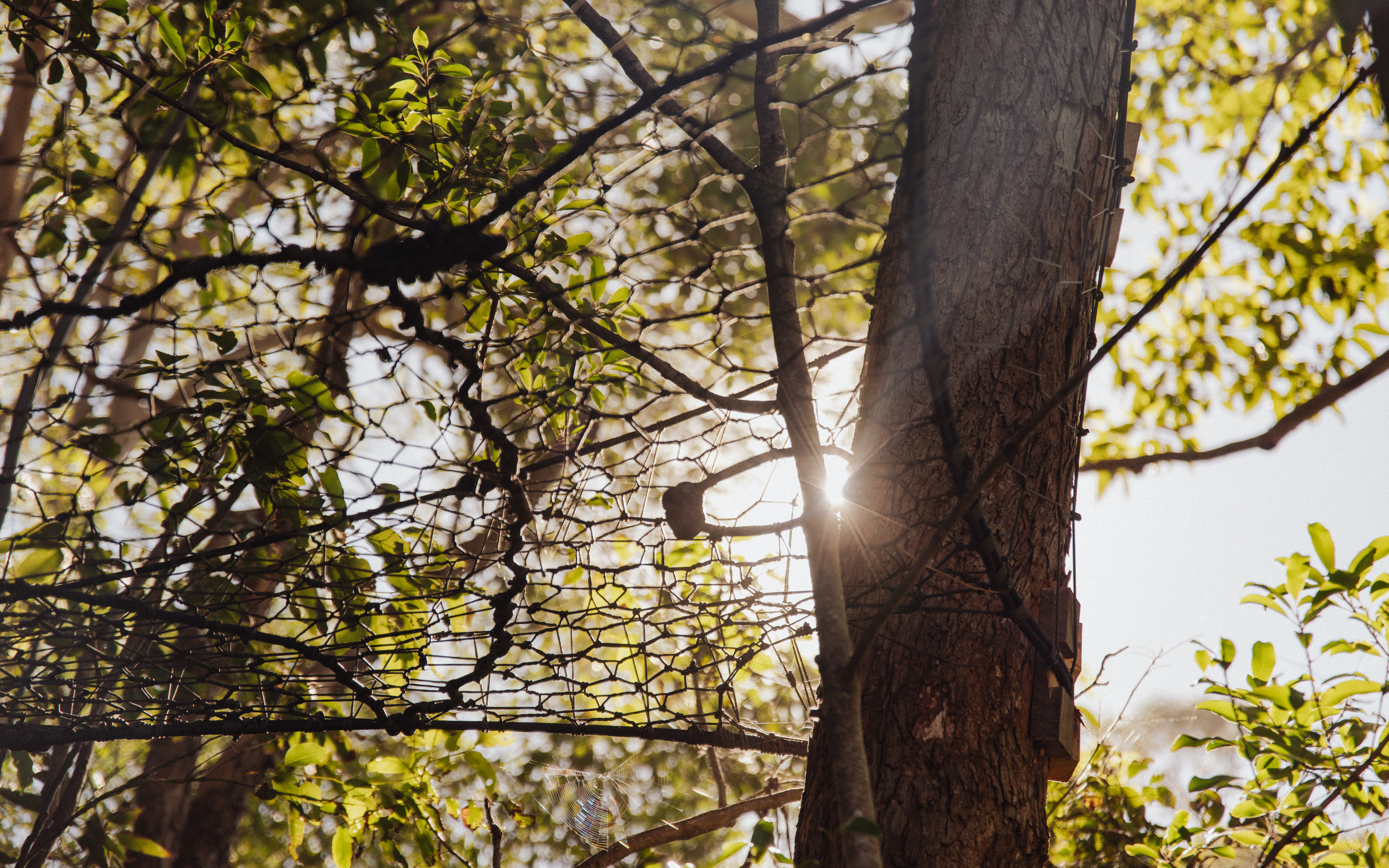 471602_4167c9e6bb434387808bc38e48344d74~mv2