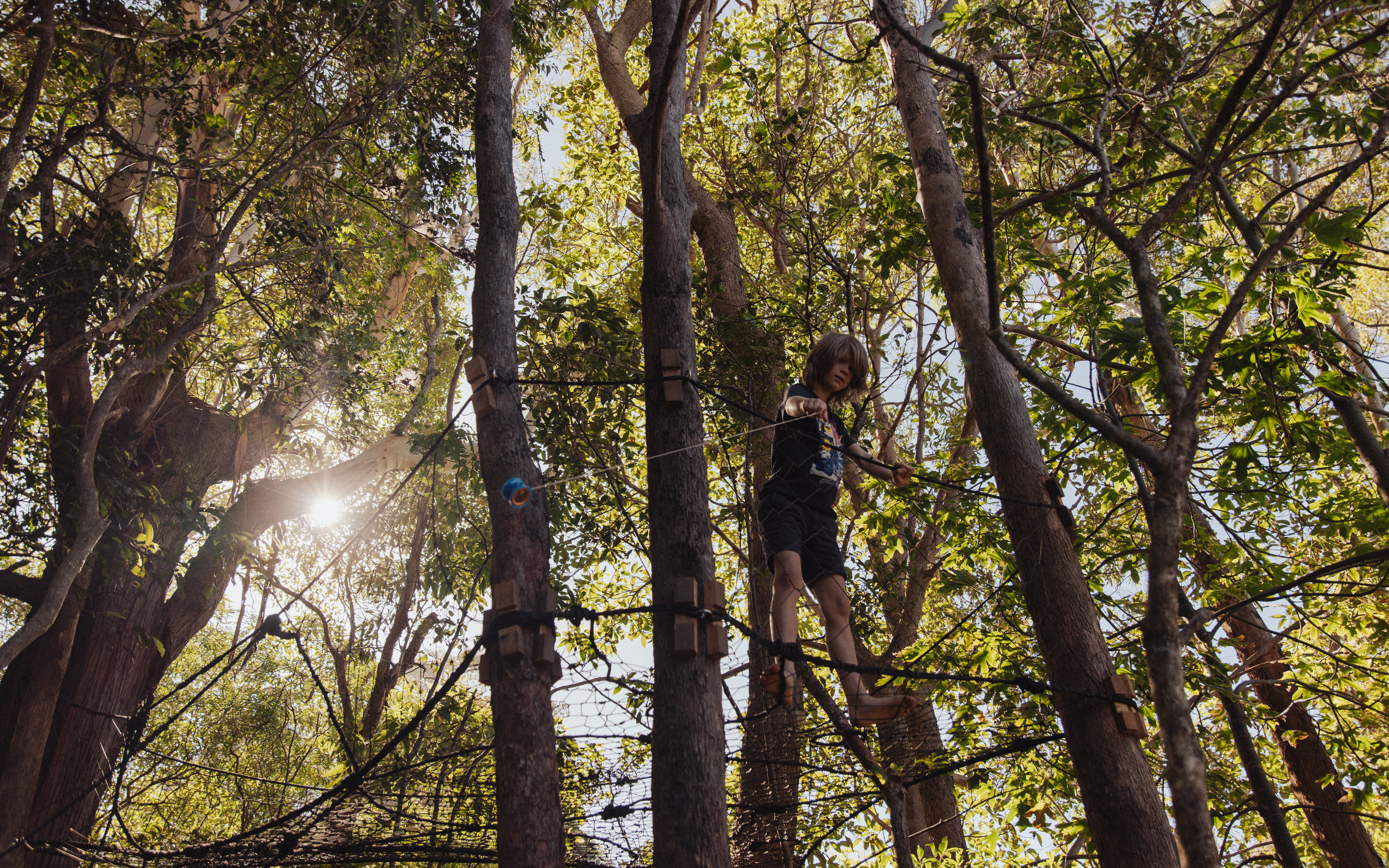 471602_c2ca807a17c04032a08d4360ebe29a92~mv2