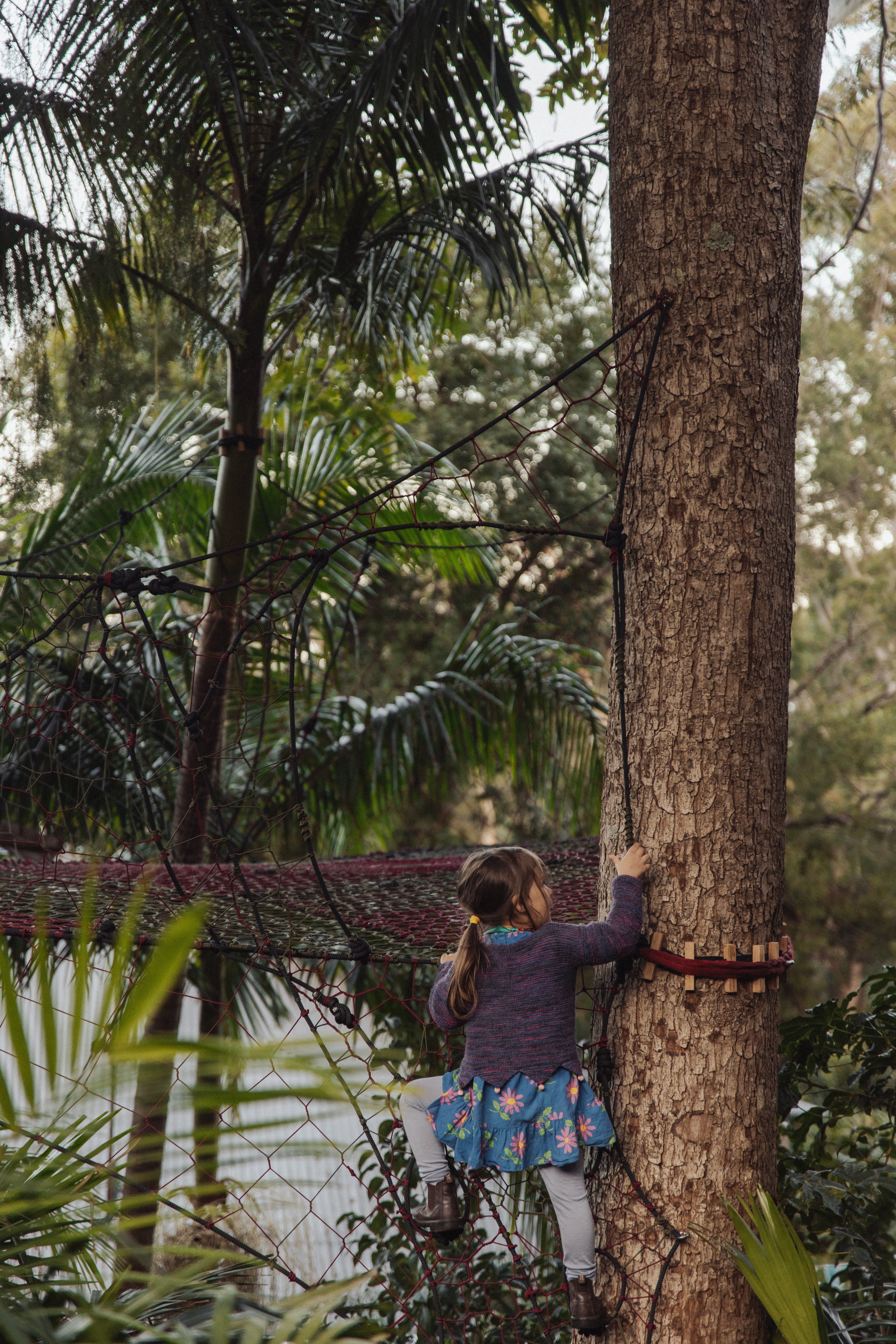 471602_ce964676f8e843b88ab07d448d30dce4~mv2